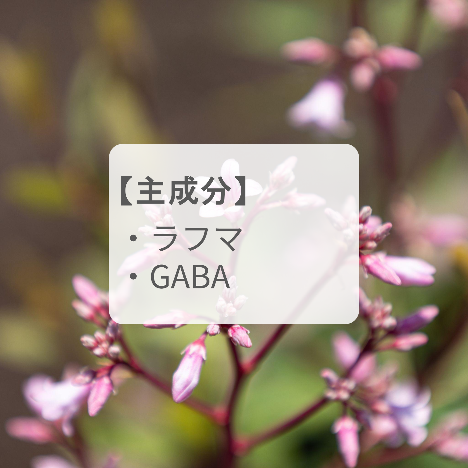 良質な睡眠を「ラフマ＆GABA」