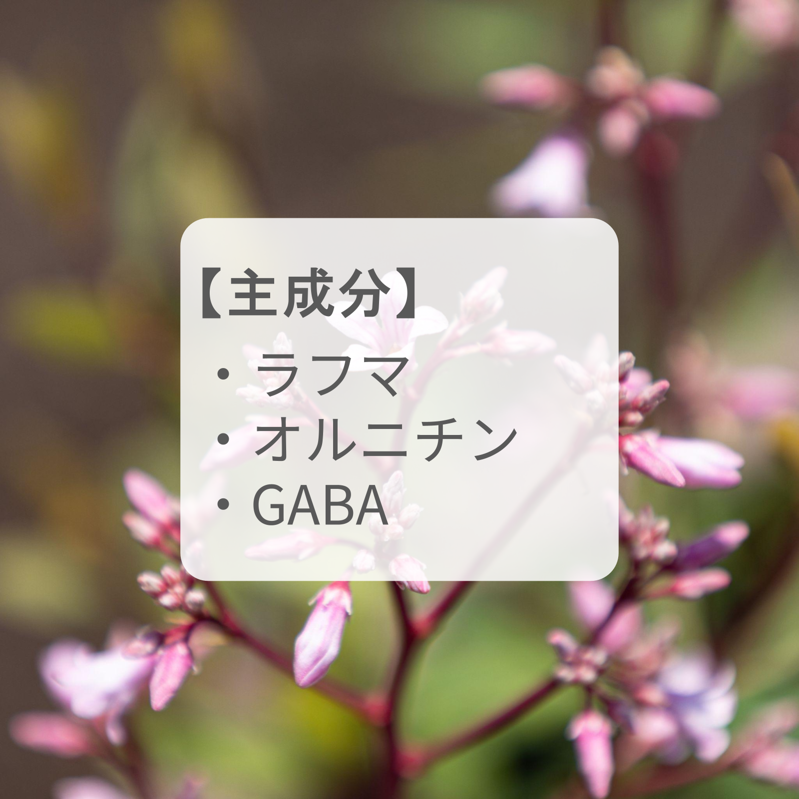 睡眠効果のある3つの成分「ラフマ＆オルニチン＆GABA」