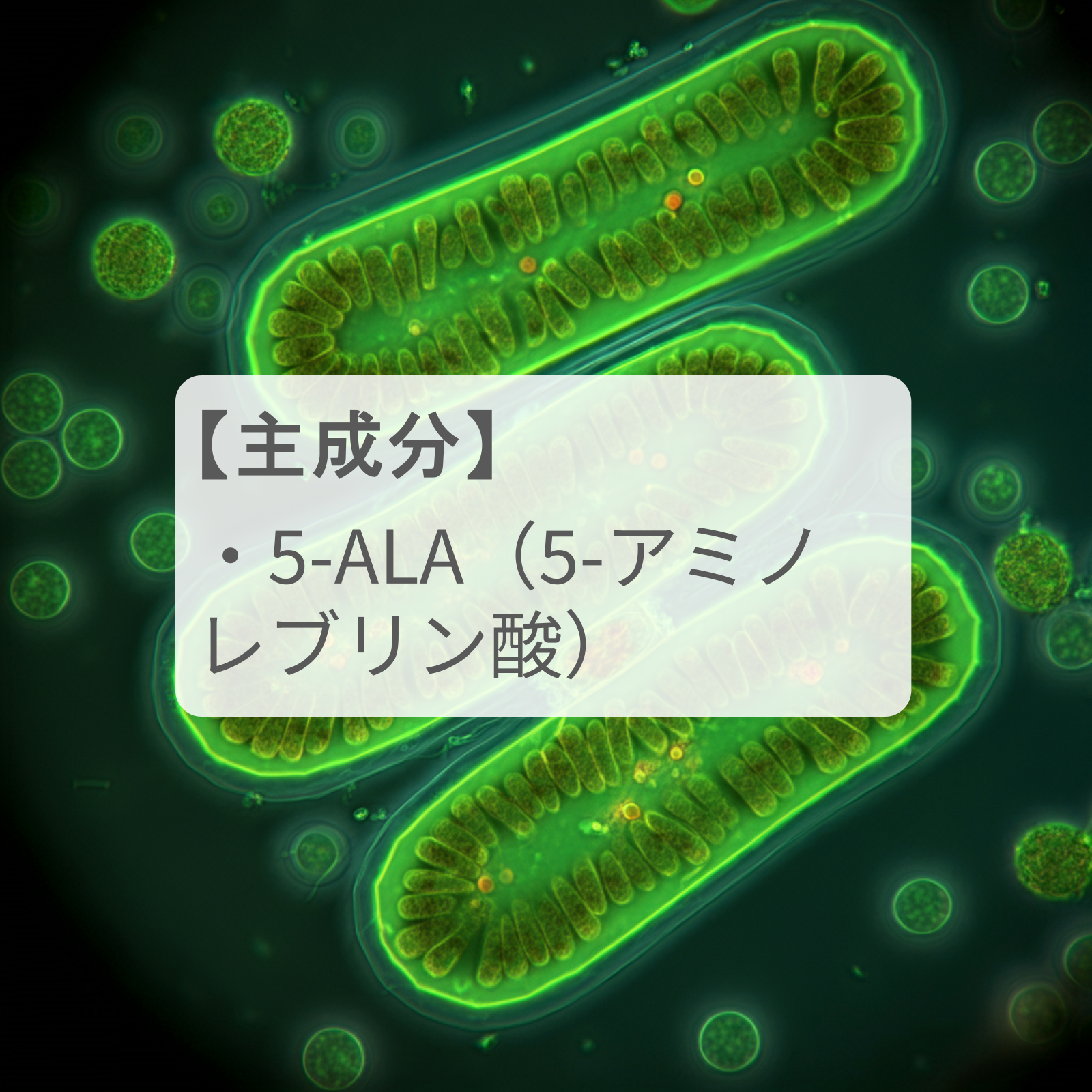 生命の根源物質「5-ALA」